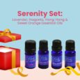 Serenity Set: Lavender, Fragonia, Ylang Ylang & Sweet Orange Essential Oils